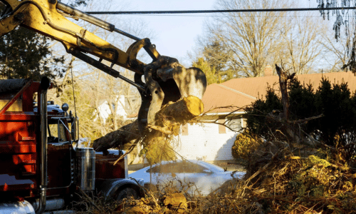 tree Removal peoria il